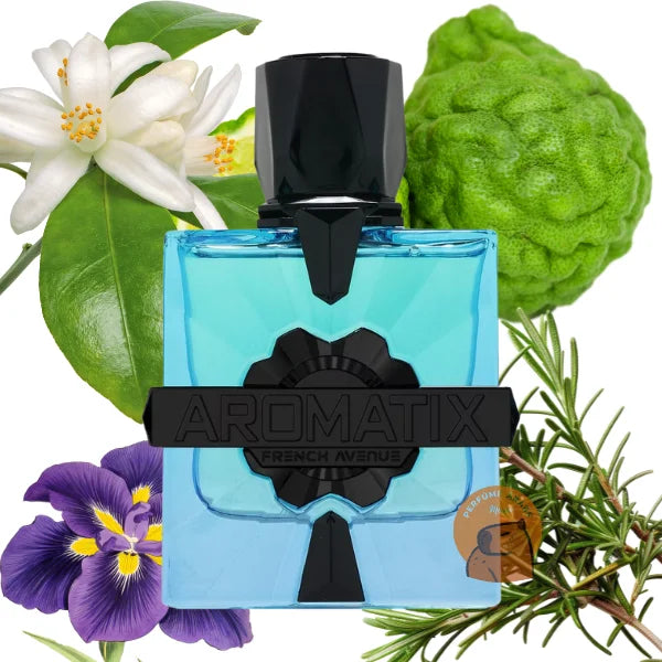 Magnetiq Aromatix X French Avenue Fragrance World Decant (muestra) Hombre